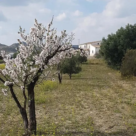 Cortijo Esperanza Bed & Breakfast Huercal-Overa